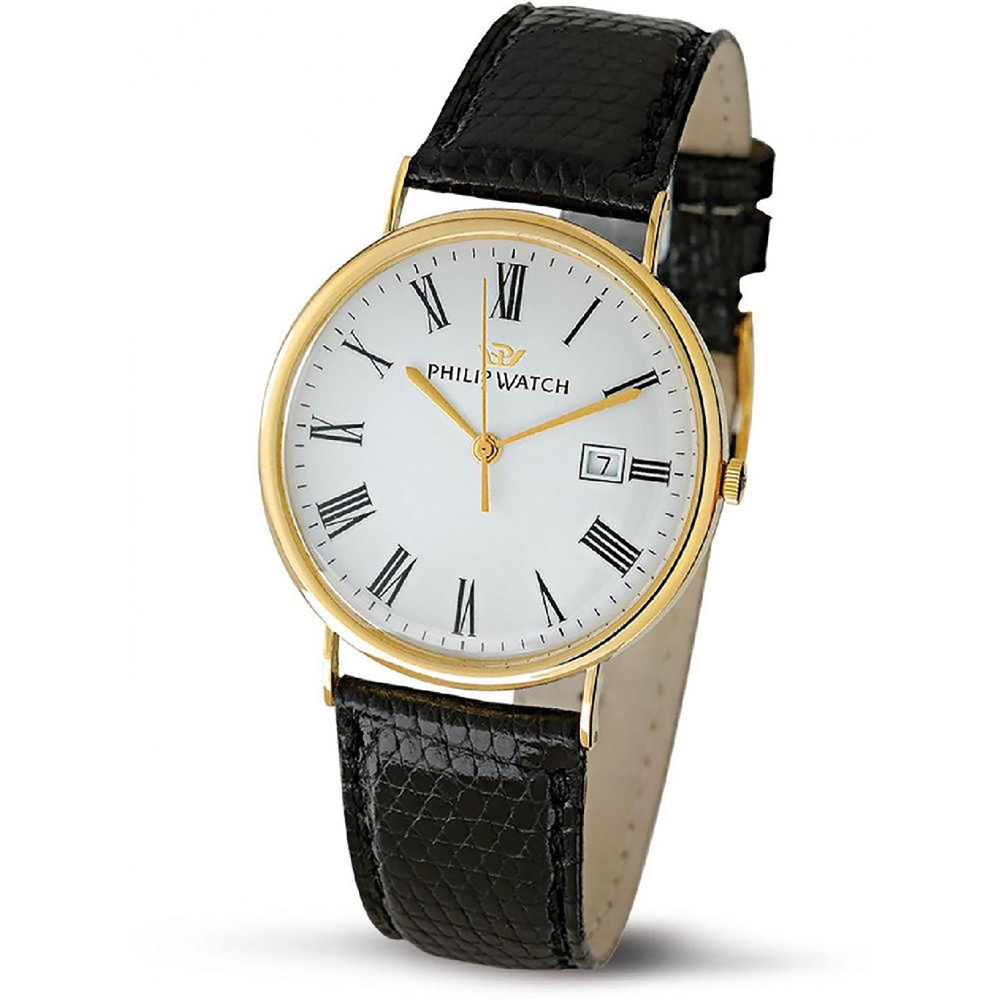 OROLOGIO UOMO PHILIP WATCH CAPSULETTE R8051551161