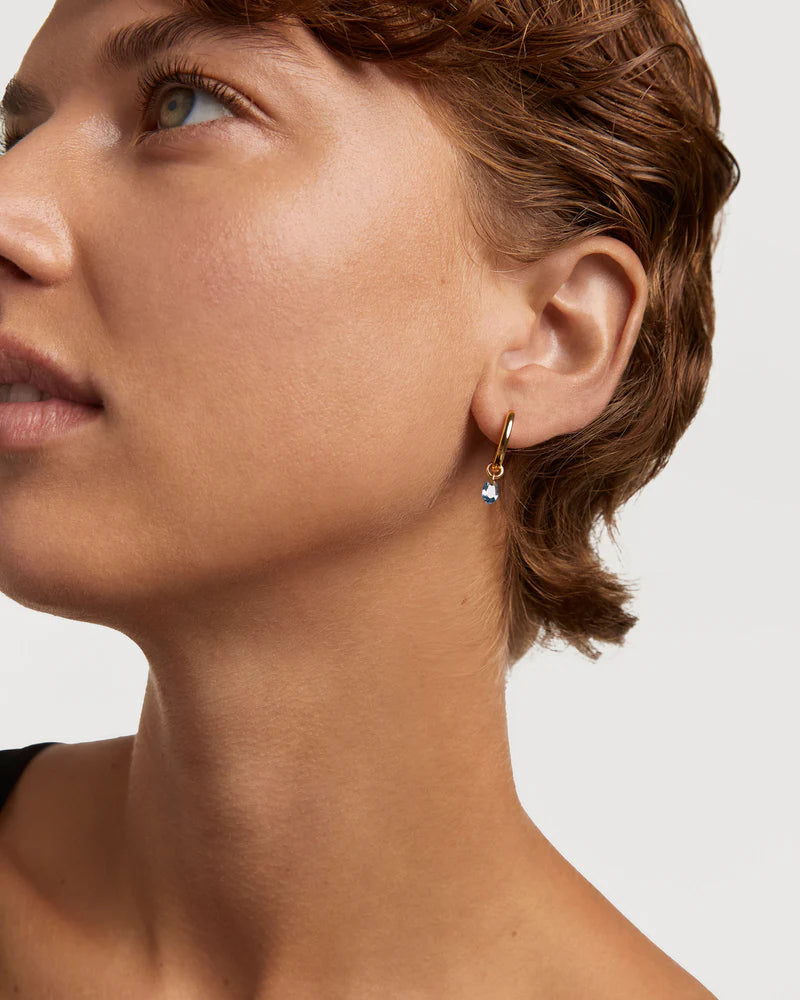 PDPAOLA Orecchini a cerchio Lily Blu