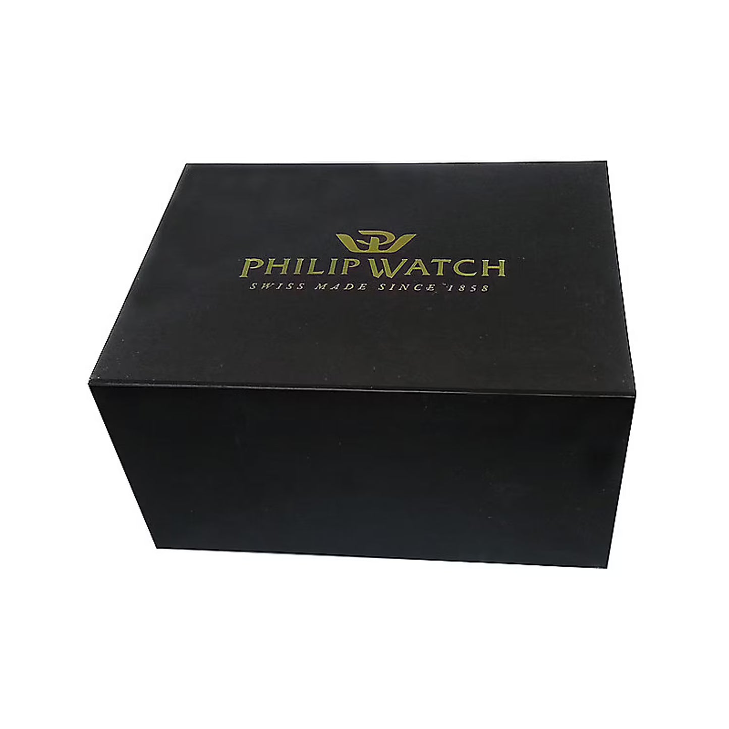 Orologio Uomo Philip Watch Capsulette R8051551171