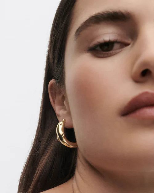 
                  
                    Orecchini PDPaola Dolphin AR01-D47-U
                  
                