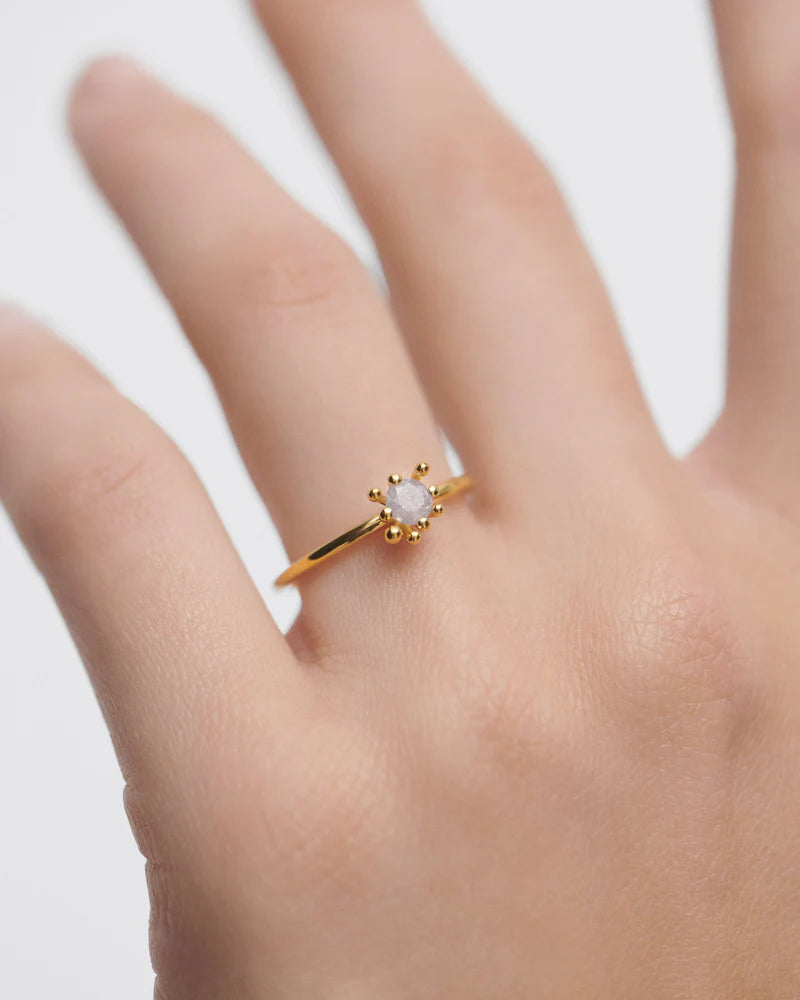 
                  
                    Anello donna PDPAOLA Fleur Grigio
                  
                
