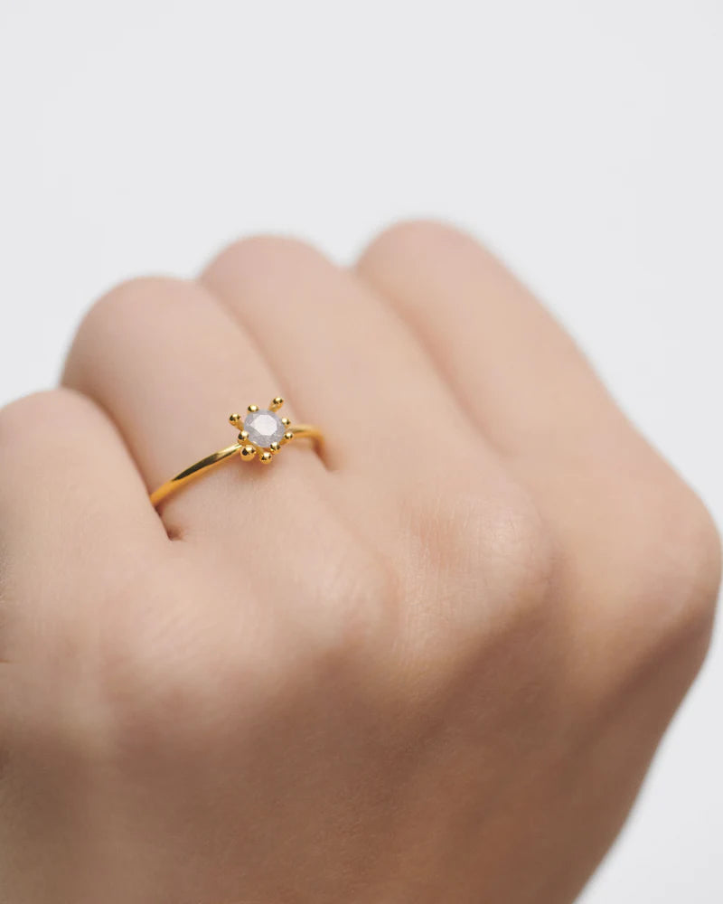 
                  
                    Anello donna PDPAOLA Fleur Grigio
                  
                