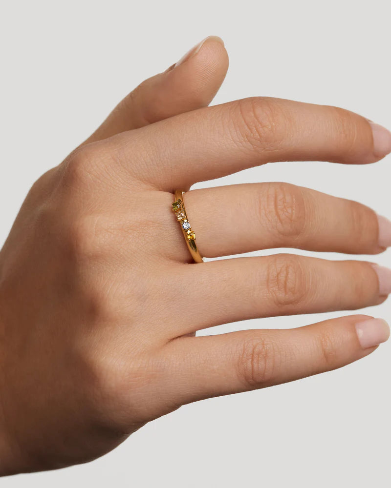 
                  
                    Anello donna PDPAOLA Rainbow Wing
                  
                