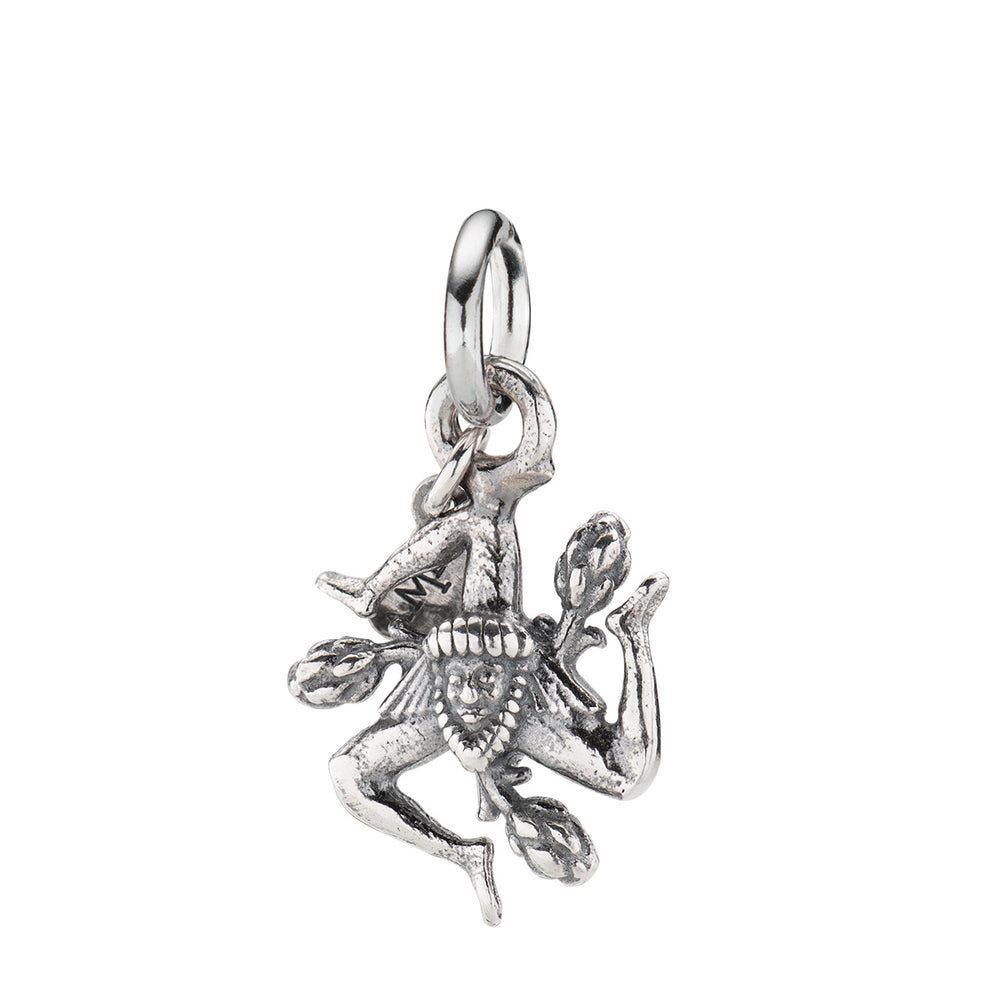 
                  
                    Charm Amen unisex charms - moments CH-CI10
                  
                