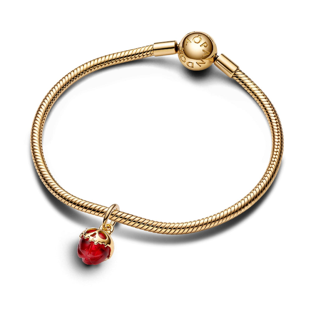 
                  
                    Charm Pandora Disney Mela Avvelenata 763421C01
                  
                