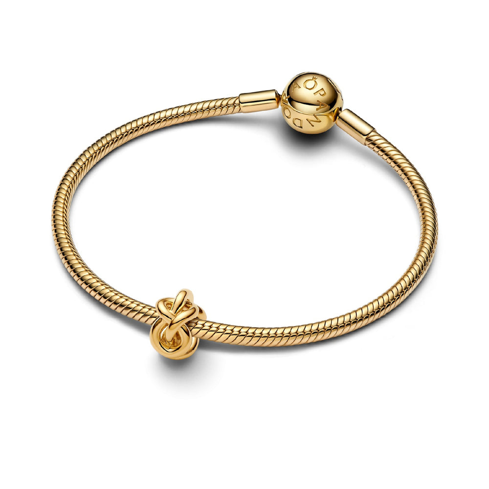 
                  
                    Charm Pandora Nodo d'Amore Eterno 763755C00
                  
                