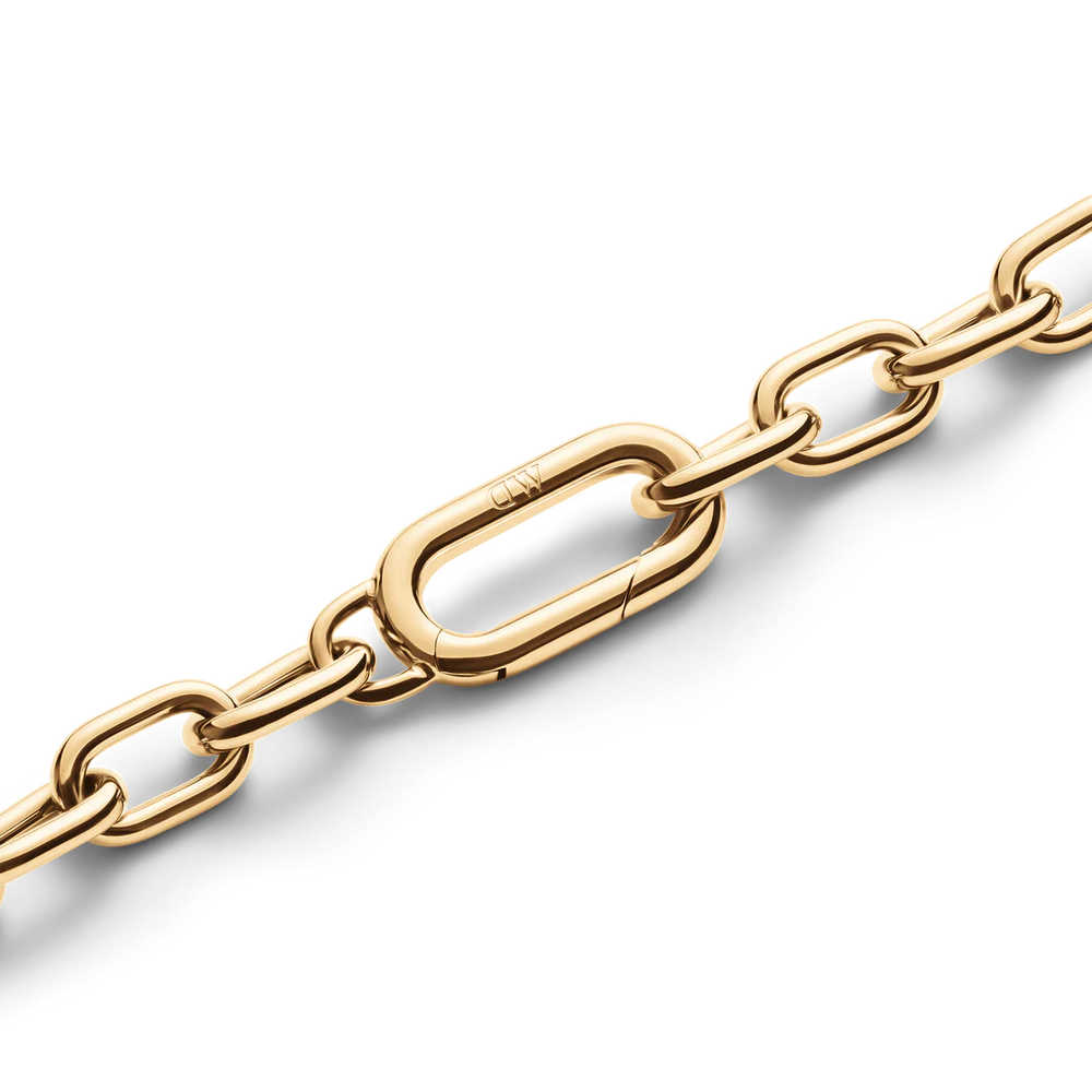 
                  
                    Collana Daniel Wellington Crystal Link DW00400589
                  
                