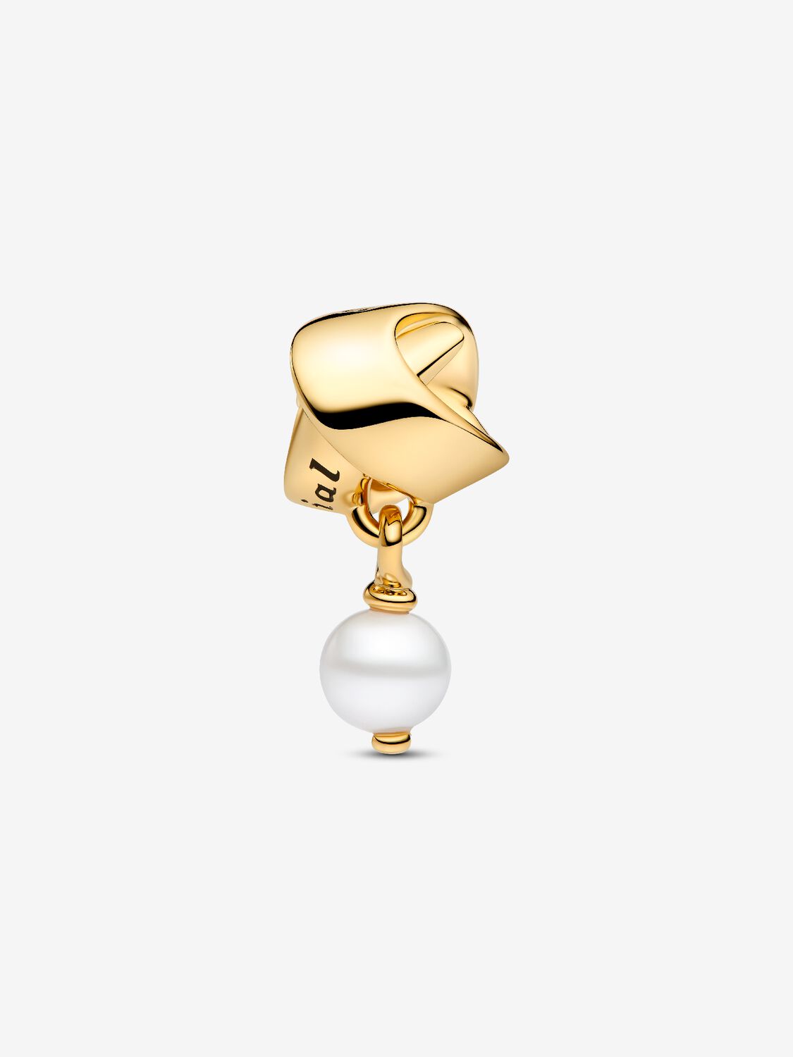 Pandora Charm Pendente Qualcuno di Speciale 763784C01