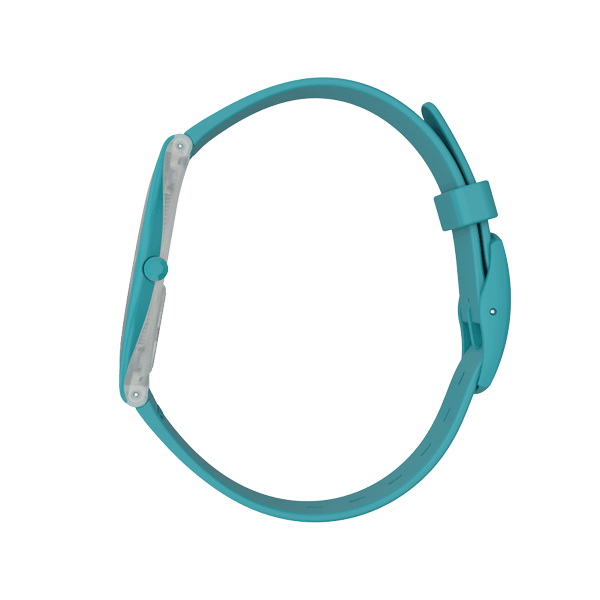 Orologio SWATCH SVOL100